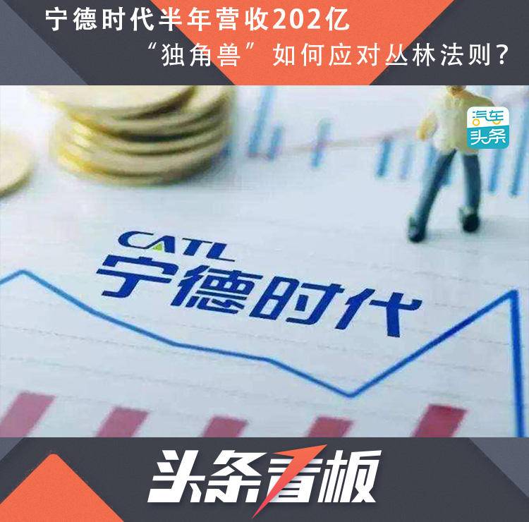 宁德时代半年营收202亿，“独角兽”如何应对丛林法则？