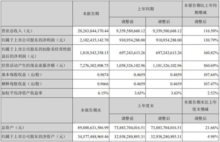 宁德时代半年营收202亿，“独角兽”如何应对丛林法则？